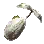 骨生花种子