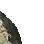 古代石板残片
