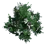 개발용 식생92 -Flower_e_Verdant_01