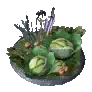 新鲜蔬菜拼盘