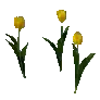 개발용 식생151-Crop_TulipY_02_dd