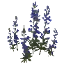 개발용 식생172-Dri_MT_Flower_03_04