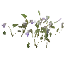 개발용 식생193-Flower_e_02