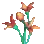 火焰鳞花束