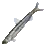 池沼公鱼