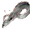 白带鱼