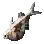 胸斧鱼