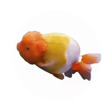 兰寿知识图标