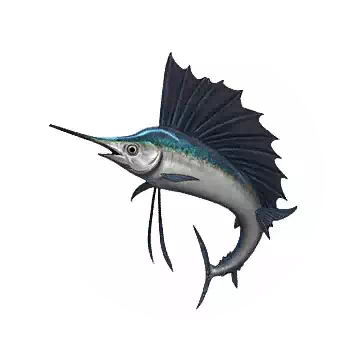 平鰭旗魚知识图标