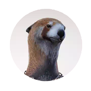 琪力奥