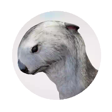 赛德利奥