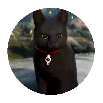 黑猫知识图标