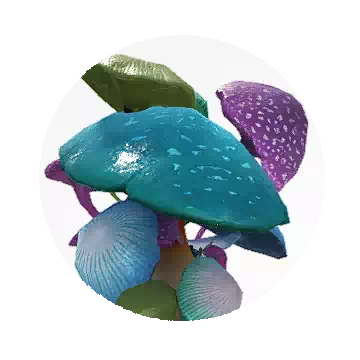 克拉雷斯蘑菇知识图标