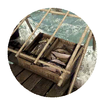 鲜鱼保管台知识图标