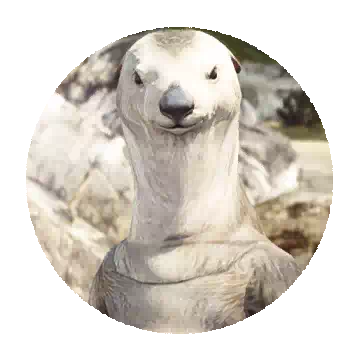 布雷奥知识图标