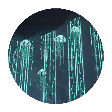西里佩尔的记录 I知识图标