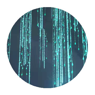 西里佩尔的记录 II知识图标