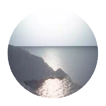 流浪的背影知识图标
