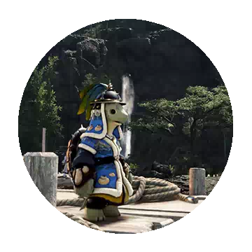桥隆相关知识图鉴
