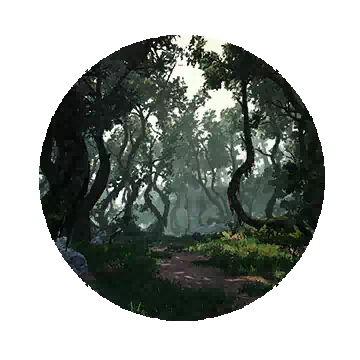 环树森林知识图标