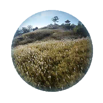 孤云山峰知识图标