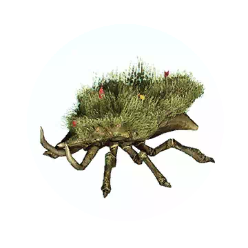 草甲虫知识图标
