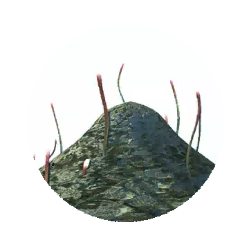 刺须巢穴知识图标