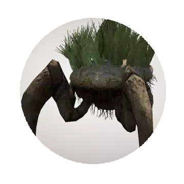 草石蟹知识图标