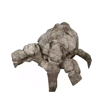 岩石蜘蛛知识图标