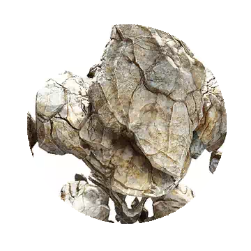 摩各里斯知识图标