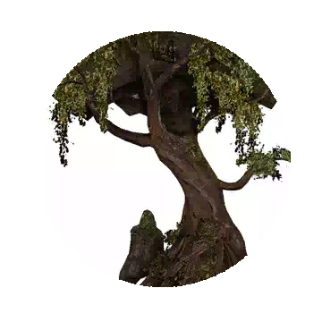 拱门遗迹树知识图标