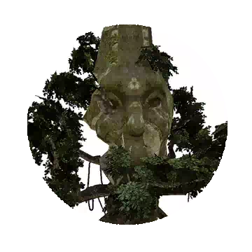 脸遗迹树知识图标