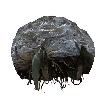 法斯特森林的巨大背石蟹知识图标