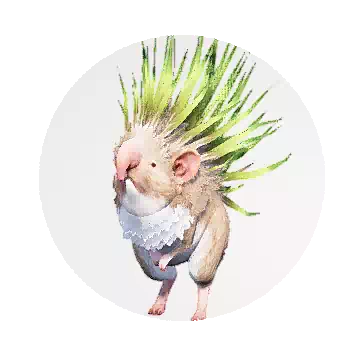 草刺猬知识图标
