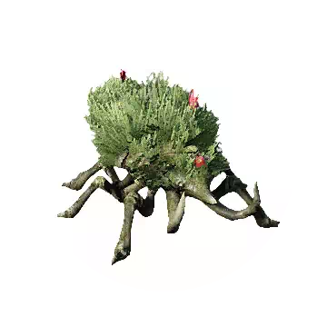 草丛甲虫知识图标