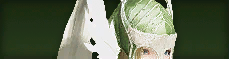 [遊俠]阿愷魯近衛隊頭盔商品图标