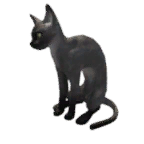 猫外观方案 3