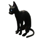 猫宠物图标