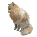 猫外观方案 3