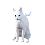 猫外观方案 3