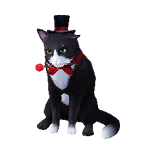 猫外观方案 4