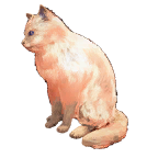 猫宠物图标