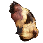 猫外观方案 11