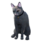 猫外观方案 3