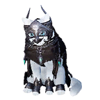 猫外观方案 2