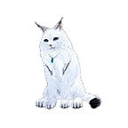 猫宠物图标