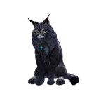 猫外观方案 2