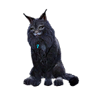 猫外观方案 2