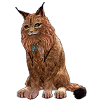 猫外观方案 3