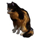 猫宠物图标